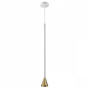 Подвесной светильник Odeon Light Pipa 3884/1GW в Салехарде - salekhard.mebel24.online | фото 2