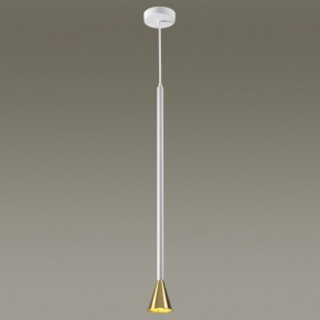 Подвесной светильник Odeon Light Pipa 3884/1GW в Салехарде - salekhard.mebel24.online | фото 3