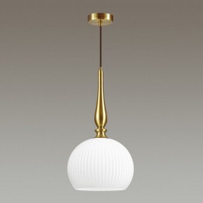 Подвесной светильник Odeon Light Runga 4766/1 в Салехарде - salekhard.mebel24.online | фото 4