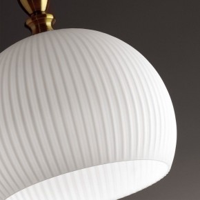 Подвесной светильник Odeon Light Runga 4766/1 в Салехарде - salekhard.mebel24.online | фото 8
