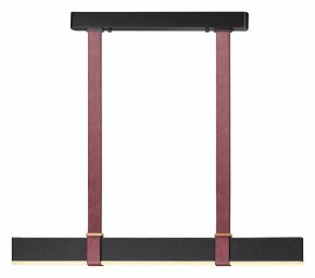 Подвесной светильник Odeon Light Vincent 6629/25L в Салехарде - salekhard.mebel24.online | фото 2