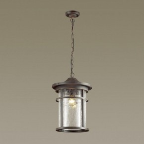 Подвесной светильник Odeon Light Virta 4044/1 в Салехарде - salekhard.mebel24.online | фото 4