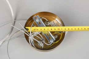Подвесной светильник Omnilux Cesana OML-67103-08 в Салехарде - salekhard.mebel24.online | фото 9