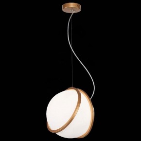 Подвесной светильник ST-Luce Acerra SL1181.353.01 в Салехарде - salekhard.mebel24.online | фото 4