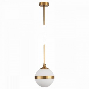 Подвесной светильник ST-Luce Arbe SL1157.303.01 в Салехарде - salekhard.mebel24.online | фото 2