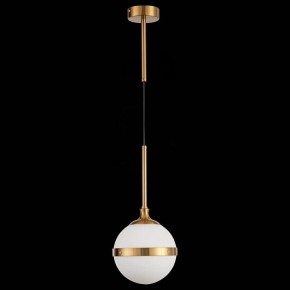 Подвесной светильник ST-Luce Arbe SL1157.303.01 в Салехарде - salekhard.mebel24.online | фото 4