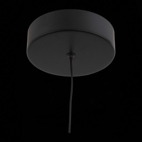 Подвесной светильник ST-Luce Bisaria SL393.403.01 в Салехарде - salekhard.mebel24.online | фото 8