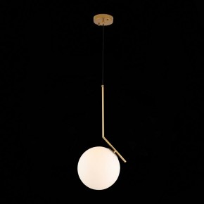 Подвесной светильник ST-Luce Codda SL1148.303.01 в Салехарде - salekhard.mebel24.online | фото 5