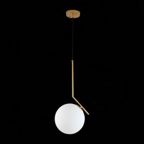 Подвесной светильник ST-Luce Codda SL1148.303.01 в Салехарде - salekhard.mebel24.online | фото 6