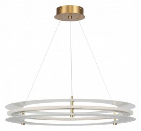 Подвесной светильник ST-Luce FAGY SL6245.203.01 в Салехарде - salekhard.mebel24.online | фото 3