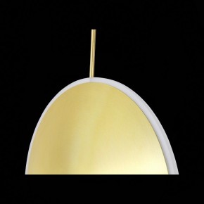 Подвесной светильник ST-Luce Imente SL1221.213.01 в Салехарде - salekhard.mebel24.online | фото 9