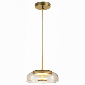 Подвесной светильник ST-Luce Lacio SL6002.203.01 в Салехарде - salekhard.mebel24.online | фото
