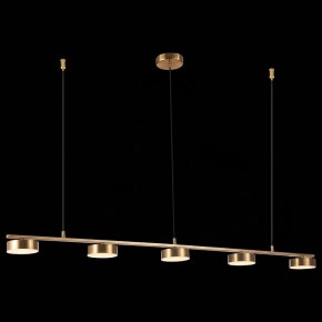 Подвесной светильник ST-Luce Pances SL6000.303.05 в Салехарде - salekhard.mebel24.online | фото 5