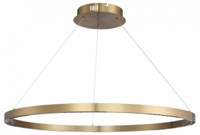 Подвесной светильник ST-Luce PARILLA SL6238.343.01 в Салехарде - salekhard.mebel24.online | фото 3