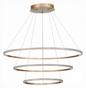 Подвесной светильник ST-Luce ST604 OUT ST604.243.114 в Салехарде - salekhard.mebel24.online | фото 2