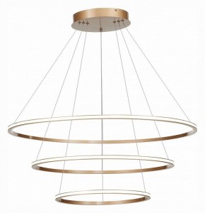 Подвесной светильник ST-Luce ST604 OUT ST604.243.114 в Салехарде - salekhard.mebel24.online | фото 3
