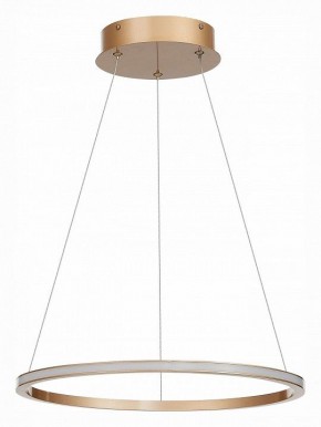 Подвесной светильник ST-Luce ST604 OUT ST604.243.22 в Салехарде - salekhard.mebel24.online | фото 2