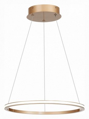 Подвесной светильник ST-Luce ST604 OUT ST604.243.22 в Салехарде - salekhard.mebel24.online | фото 3