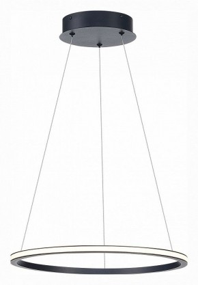 Подвесной светильник ST-Luce ST604 OUT ST604.443.22 в Салехарде - salekhard.mebel24.online | фото 3