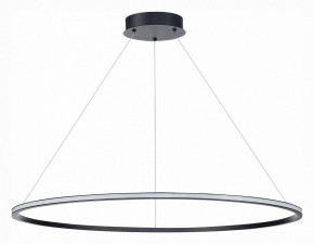Подвесной светильник ST-Luce ST604 OUT ST604.443.57 в Салехарде - salekhard.mebel24.online | фото 2