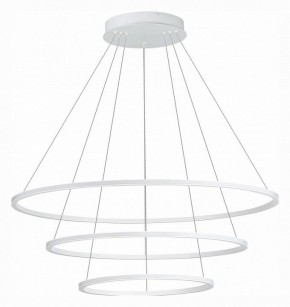 Подвесной светильник ST-Luce ST604 OUT ST604.543.114 в Салехарде - salekhard.mebel24.online | фото 2
