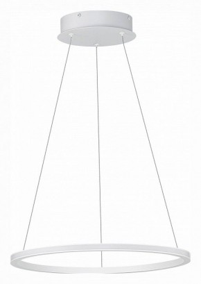 Подвесной светильник ST-Luce ST604 OUT ST604.543.22 в Салехарде - salekhard.mebel24.online | фото 2