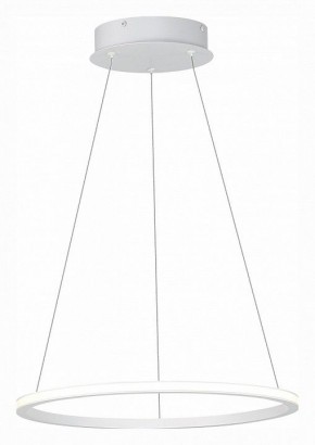 Подвесной светильник ST-Luce ST604 OUT ST604.543.22 в Салехарде - salekhard.mebel24.online | фото 3