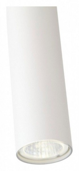 Подвесной светильник ST-Luce Tuore SL1592.503.01 в Салехарде - salekhard.mebel24.online | фото 11