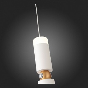 Подвесной светильник ST-Luce Tuore SL1592.503.01 в Салехарде - salekhard.mebel24.online | фото 5