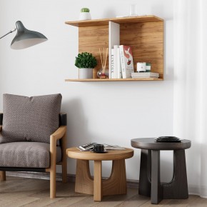 Полка Ион-3 (крафт/белый) в Салехарде - salekhard.mebel24.online | фото 3