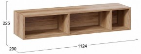 Полка навесная ТД-102.28 в Салехарде - salekhard.mebel24.online | фото 9