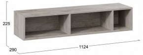 Полка навесная ТД-102.28 в Салехарде - salekhard.mebel24.online | фото 8