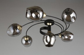 Потолочная люстра Aployt Flor APL.611.17.06 в Салехарде - salekhard.mebel24.online | фото 1