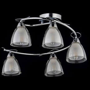Потолочная люстра Arti Lampadari Paola, Tavenna Nickel Paola E 1.1.5 N в Салехарде - salekhard.mebel24.online | фото 2