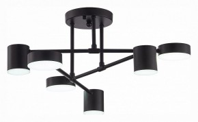 Потолочная люстра EVOLUCE Nobel SLE201042-06 в Салехарде - salekhard.mebel24.online | фото 5