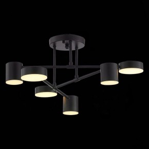 Потолочная люстра EVOLUCE Nobel SLE201042-06 в Салехарде - salekhard.mebel24.online | фото 7