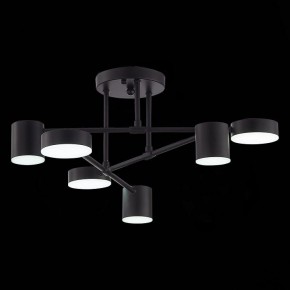 Потолочная люстра EVOLUCE Nobel SLE201042-06 в Салехарде - salekhard.mebel24.online | фото 9