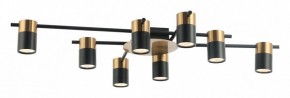 Потолочная люстра Favourite Topper 2825-8P в Салехарде - salekhard.mebel24.online | фото 2