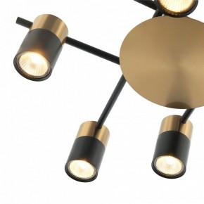 Потолочная люстра Favourite Topper 2825-8P в Салехарде - salekhard.mebel24.online | фото 3