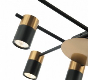 Потолочная люстра Favourite Topper 2825-8P в Салехарде - salekhard.mebel24.online | фото 4