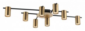 Потолочная люстра Favourite Topper 2827-8P в Салехарде - salekhard.mebel24.online | фото 2