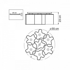Потолочная люстра Lightstar Nubi 802070 в Салехарде - salekhard.mebel24.online | фото 6