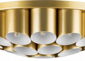 Потолочная люстра Lightstar Siena 720222 в Салехарде - salekhard.mebel24.online | фото 3