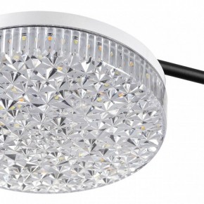 Потолочная люстра Lumion Didana 8236/4CL в Салехарде - salekhard.mebel24.online | фото 10