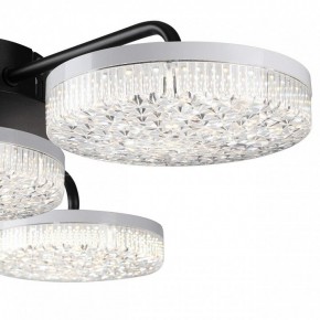 Потолочная люстра Lumion Didana 8236/4CL в Салехарде - salekhard.mebel24.online | фото 7