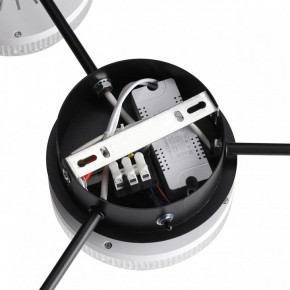 Потолочная люстра Lumion Didana 8236/4CL в Салехарде - salekhard.mebel24.online | фото 9
