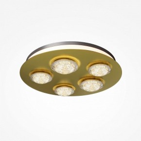 Потолочная люстра Maytoni Pharao MOD361CL-L58BS3K в Салехарде - salekhard.mebel24.online | фото