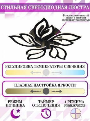 Потолочная люстра Natali Kovaltseva High-Tech Led Lamps HIGH-TECH LED LAMPS 82006 BLACK в Салехарде - salekhard.mebel24.online | фото 5