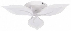 Потолочная люстра Natali Kovaltseva Sirius LED LAMPS 81164 в Салехарде - salekhard.mebel24.online | фото