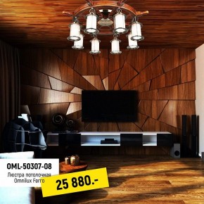Потолочная люстра Omnilux Ferro OML-50307-08 в Салехарде - salekhard.mebel24.online | фото 2